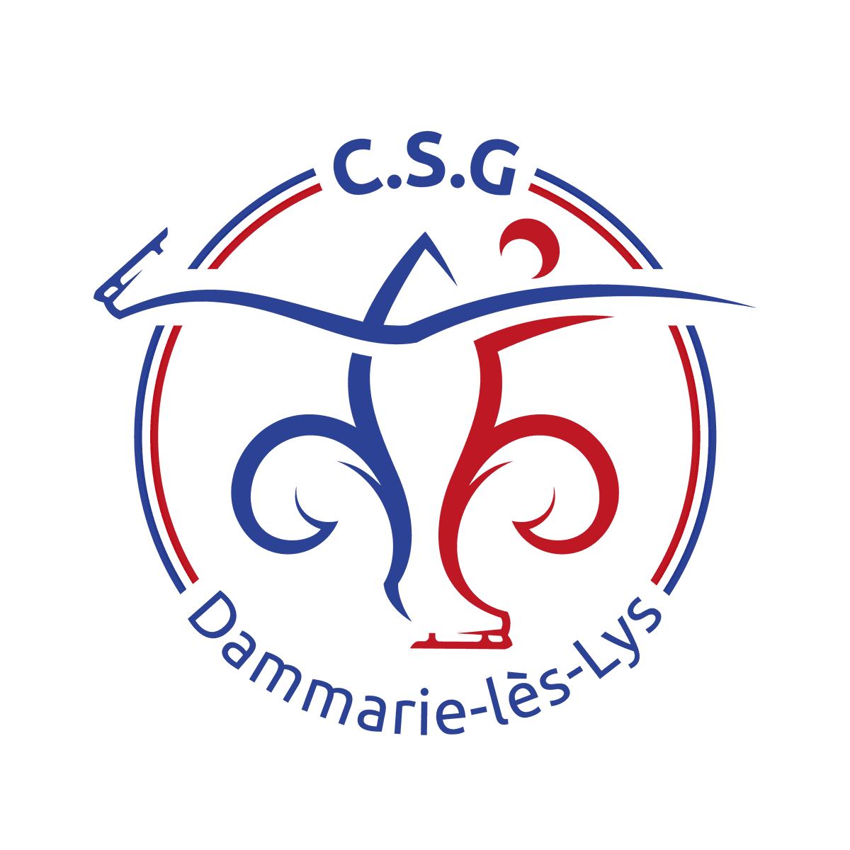 Patinoire de Dammarie-les-Lys